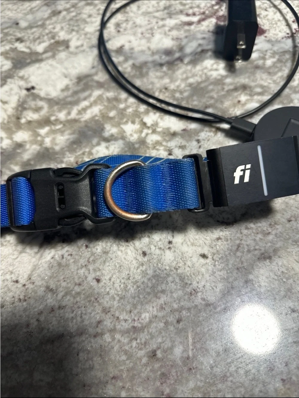 Medium Fi Smart Dog Collar with GPS Tracker Series 3+ with Charger